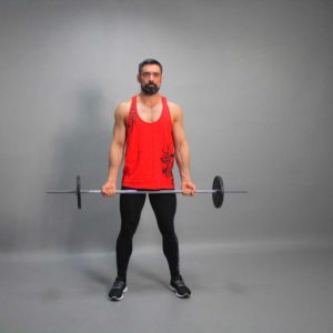 Barbell Standing Biceps Curl Start Fit Drills Exercise